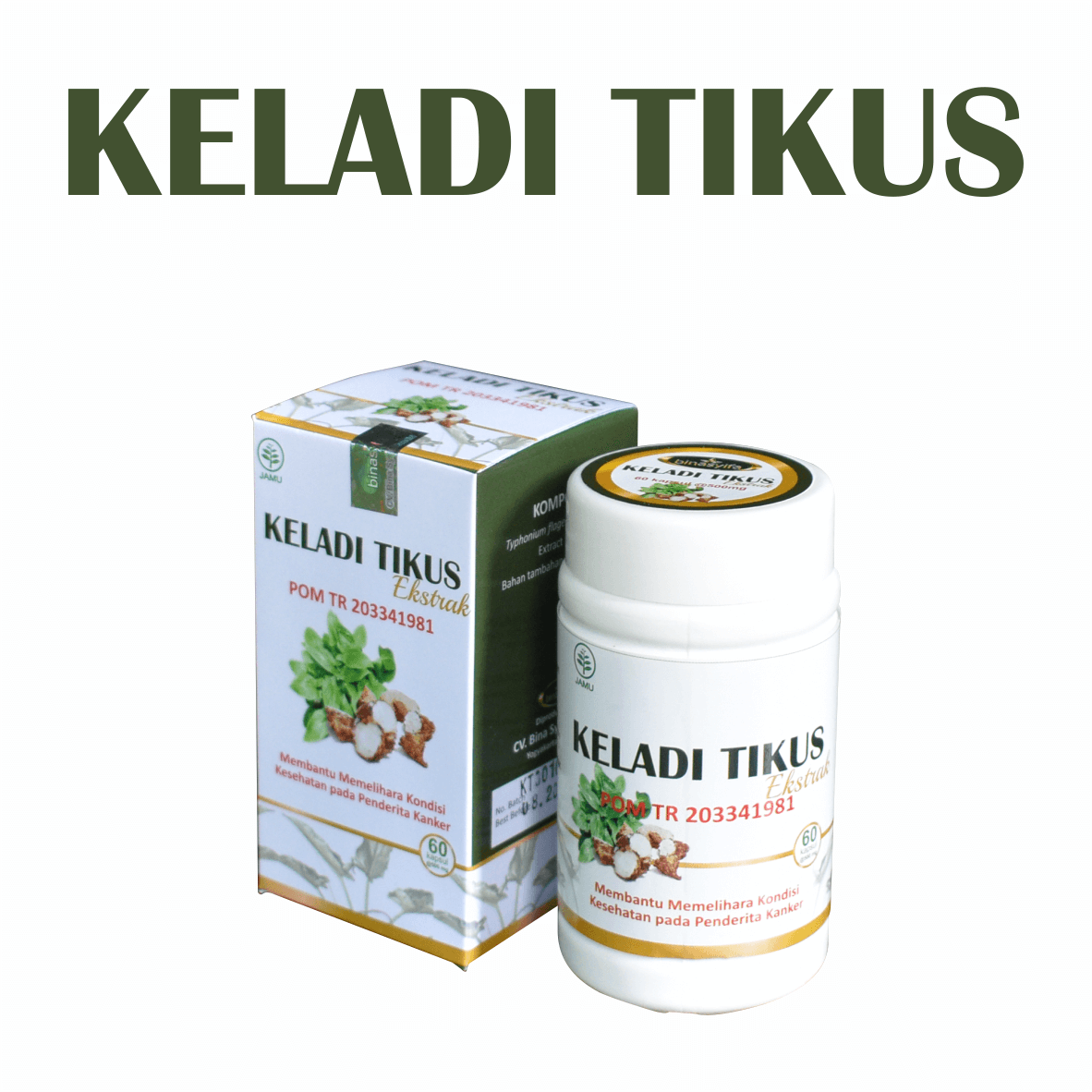 Keladi Tikus Ekstrak