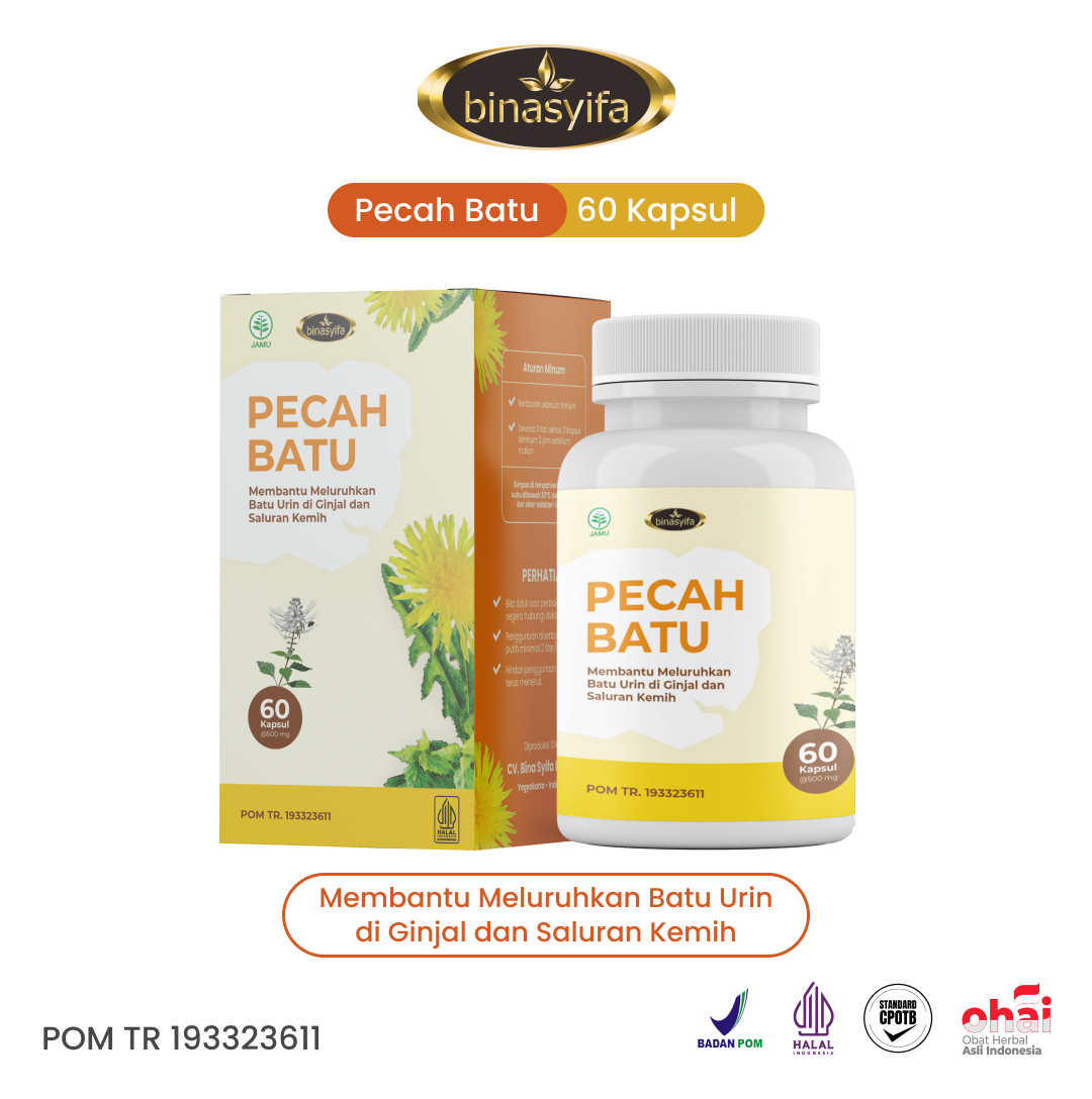 PECAH BATU - Herbal Batu Ginjal & Infeksi Saluran Kemih